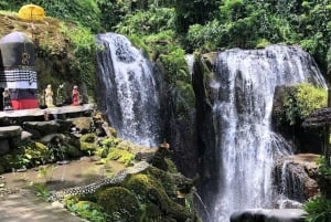 バリ島：滝での浄化儀式とコーヒーツアーをご案内いたします