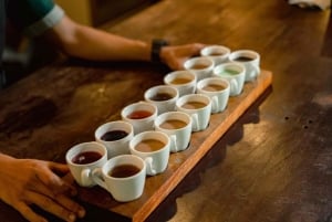 バリ島：滝での浄化儀式とコーヒーツアーをご案内いたします