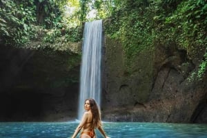 Bali: Waterfall, Tirta Empul & Traditional Village Day Trip