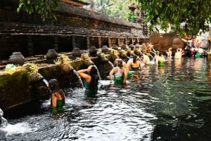 Bali: Waterfall, Tirta Empul & Traditional Village Day Trip