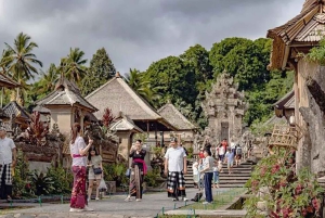 Bali: Waterfall, Tirta Empul & Traditional Village Day Trip