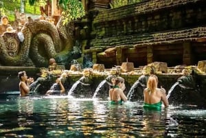 Bali: Waterfall, Tirta Empul & Traditional Village Day Trip