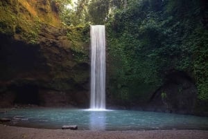 Bali: Waterfall, Tirta Empul & Traditional Village Day Trip