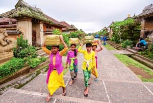Bali: Waterfall, Tirta Empul & Traditional Village Day Trip