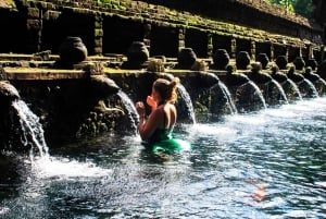 Bali: Waterfall, Tirta Empul & Traditional Village Day Trip