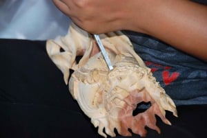 Bali: Waterfall, Tirta Empul & Traditional Village Day Trip