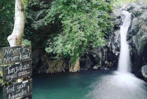 Bali Waterfall Tours with Option