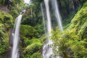 Bali Waterfall Tours with Option
