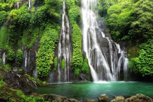 Bali Waterfall Tours with Option