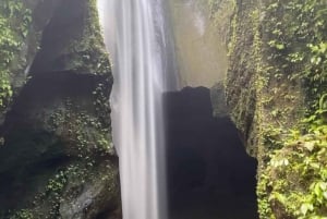 Bali Waterfall Tours with Option