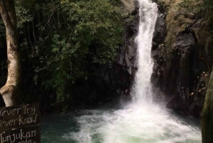 Bali: Waterfalls, Beratan Temple & Rice Terrace Jatiluwih