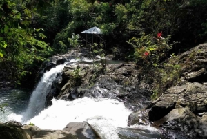 Bali: Waterfalls, Beratan Temple & Rice Terrace Jatiluwih