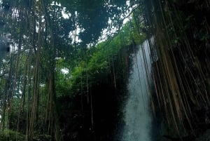 Bali: Waterfalls, Goa Gajah Temple & Cultural Village Tour