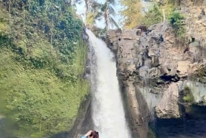 Bali: Waterfalls, Goa Gajah Temple & Cultural Village Tour