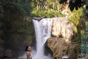 Bali: Waterfalls, Goa Gajah Temple & Cultural Village Tour