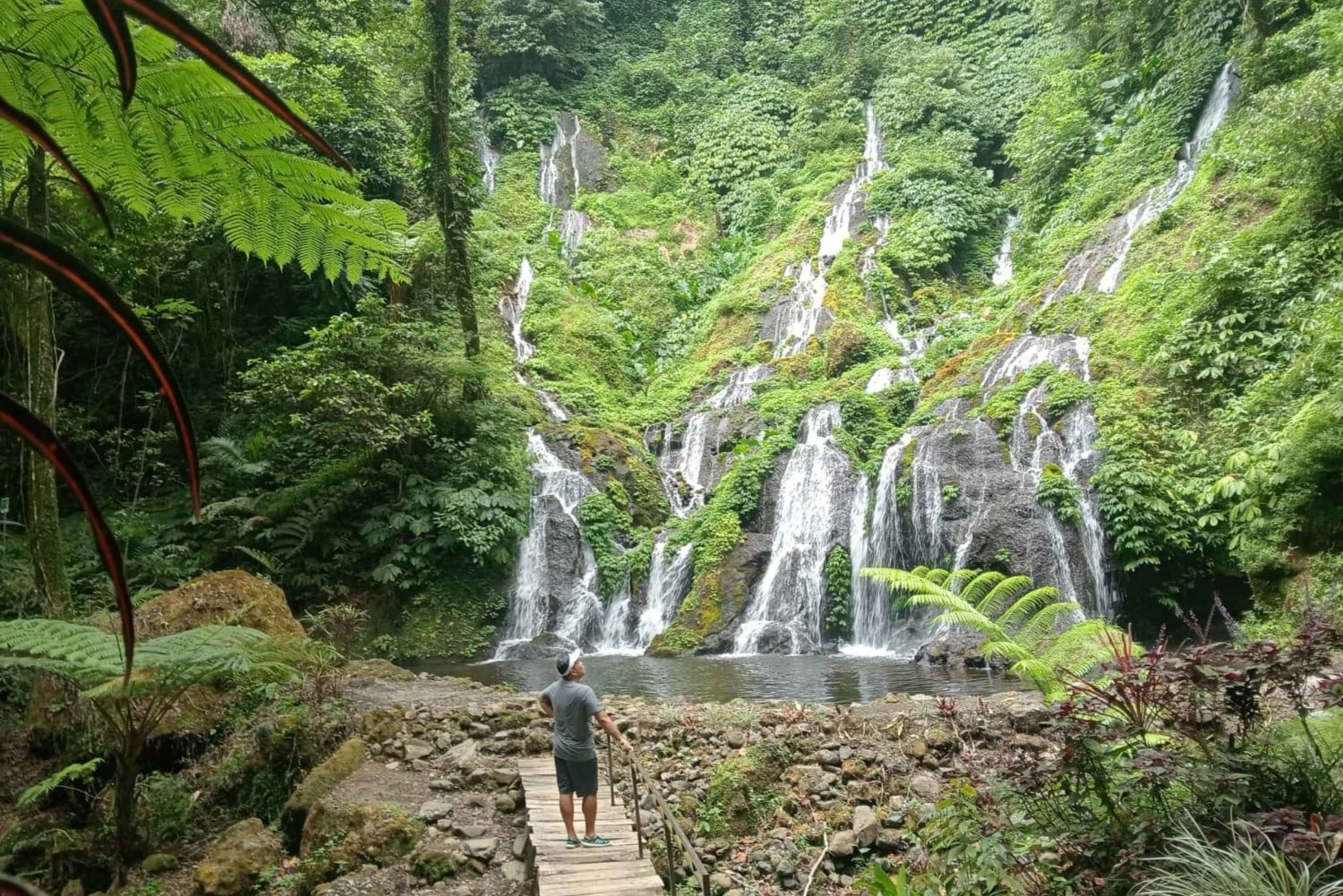 Bali: Waterfalls, Lake Buyan, and Honey Farm Tour