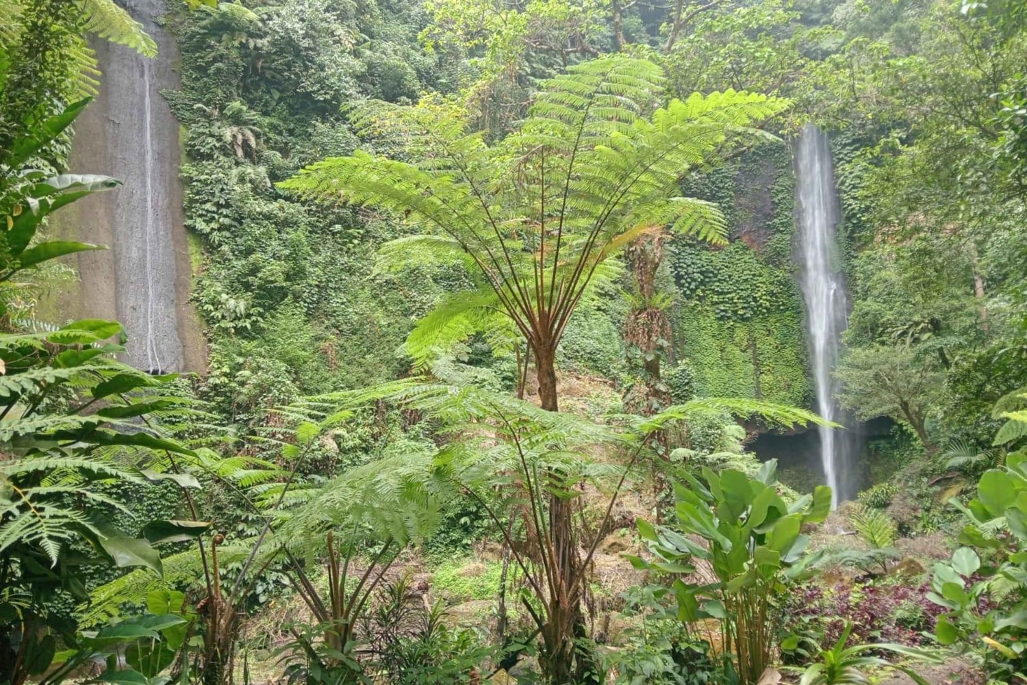 Bali: Waterfalls, Lake Buyan, and Honey Farm Tour