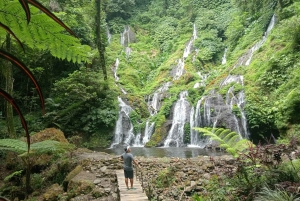 Bali: Waterfalls, Lake Buyan, and Honey Farm Tour