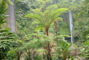 Bali: Waterfalls, Lake Buyan, and Honey Farm Tour