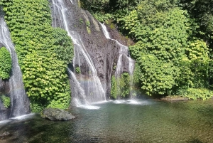 Bali: Waterfalls, Lake Buyan, and Honey Farm Tour