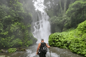 Bali: Waterfalls, Lake Buyan, and Honey Farm Tour