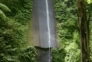 Bali: Waterfalls, Lake Buyan, and Honey Farm Tour