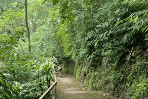 Bali: Waterfalls, Lake Buyan, and Honey Farm Tour