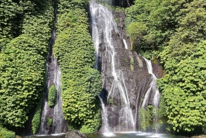 Bali: Waterfalls, Lake Buyan, and Honey Farm Tour