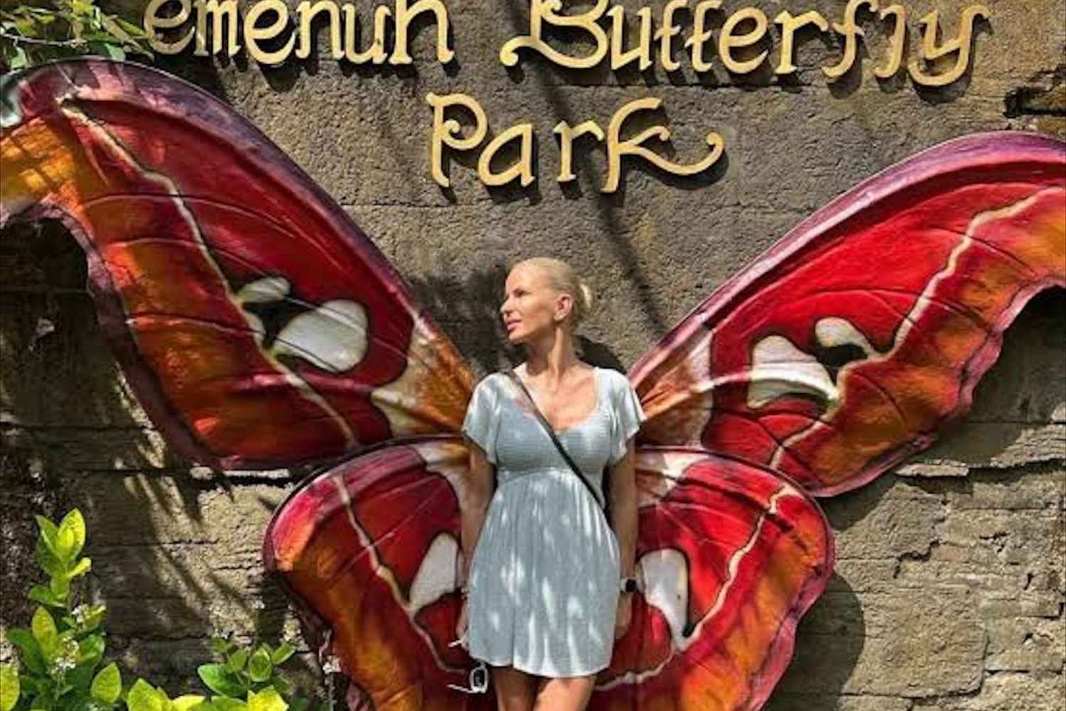 Bali: Waterfalls, Monkey Forest, and Butterfly Park Tour