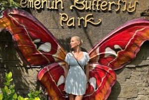 Bali: Waterfalls, Monkey Forest, and Butterfly Park Tour