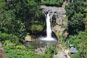 Bali: Waterfalls, Monkey Forest, and Butterfly Park Tour