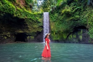 Bali: Vandfald, Tirta Empul-templet, risterrasse og Ubud-tur