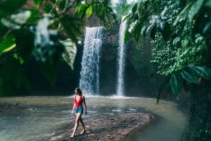 Bali: Vandfald, Tirta Empul-templet, risterrasse og Ubud-tur