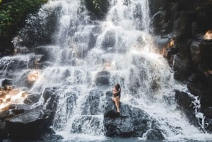 Bali: Vandfald, Tirta Empul-templet, risterrasse og Ubud-tur