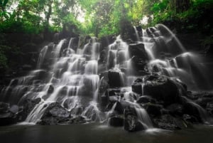 Bali: Vandfald, Tirta Empul-templet, risterrasse og Ubud-tur