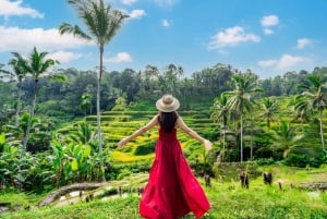 Bali: Vandfald, Tirta Empul-templet, risterrasse og Ubud-tur