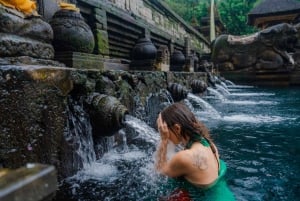 Bali: Vandfald, Tirta Empul-templet, risterrasse og Ubud-tur