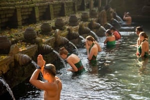 Bali: Vandfald, Tirta Empul-templet, risterrasse og Ubud-tur