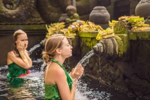 Bali: Vandfald, Tirta Empul-templet, risterrasse og Ubud-tur