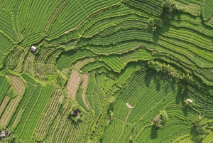 Bali Wellness Holistic Escape – en helhetsupplevelse