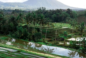 Bali: West Bali Motorcycle Tour with Driver