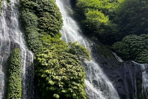 Bali: West Bali Motorcycle Tour with Driver