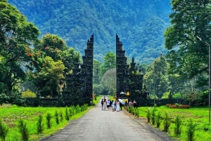Bali: West Bali Motorcycle Tour with Driver