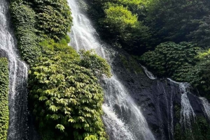 Bali: West Bali Motorcycle Tour with Driver