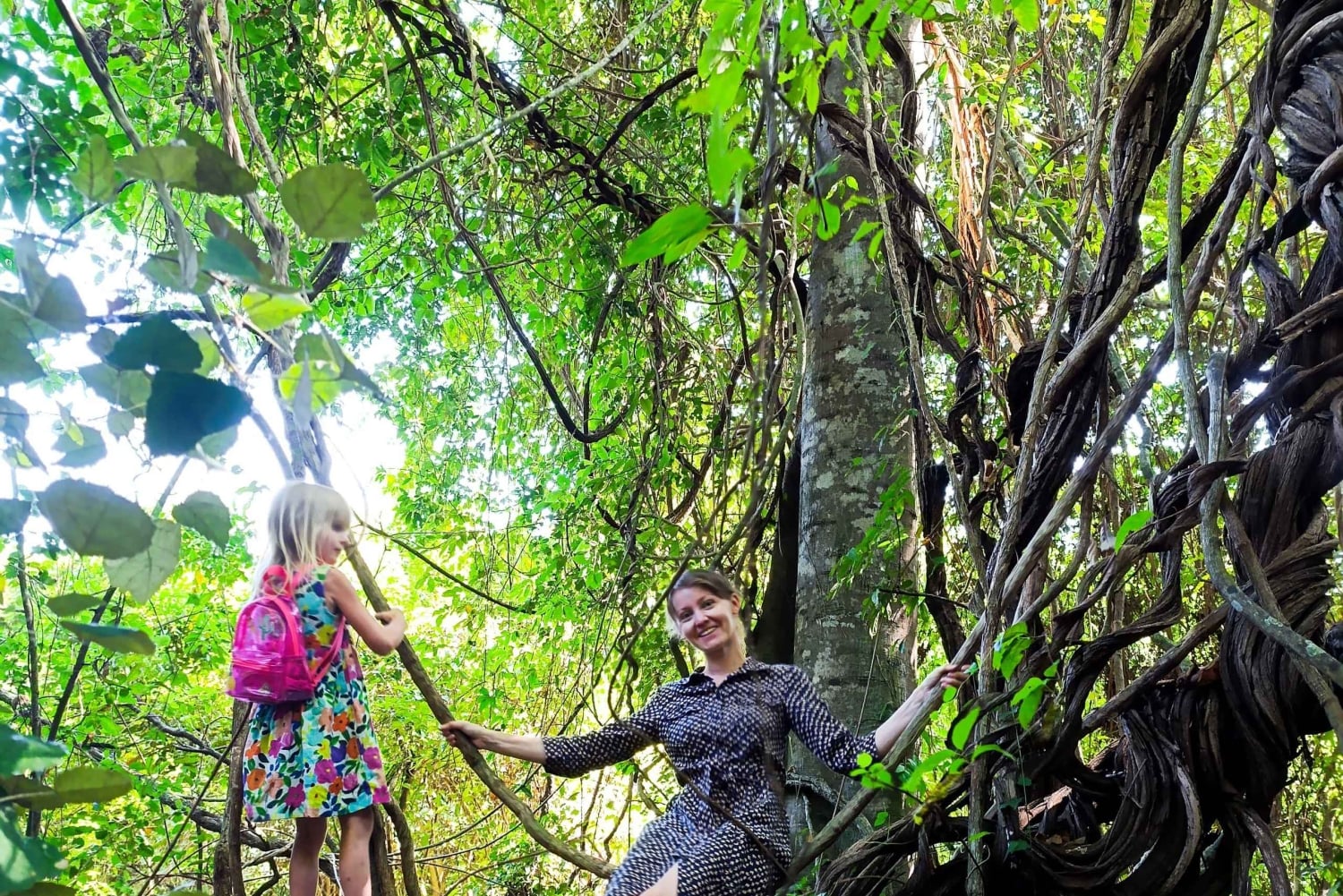 Bali: begeleide wandeltocht door het regenwoud in West-Bali