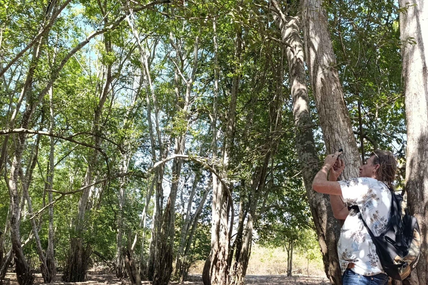 Bali: begeleide wandeltocht door het regenwoud in West-Bali