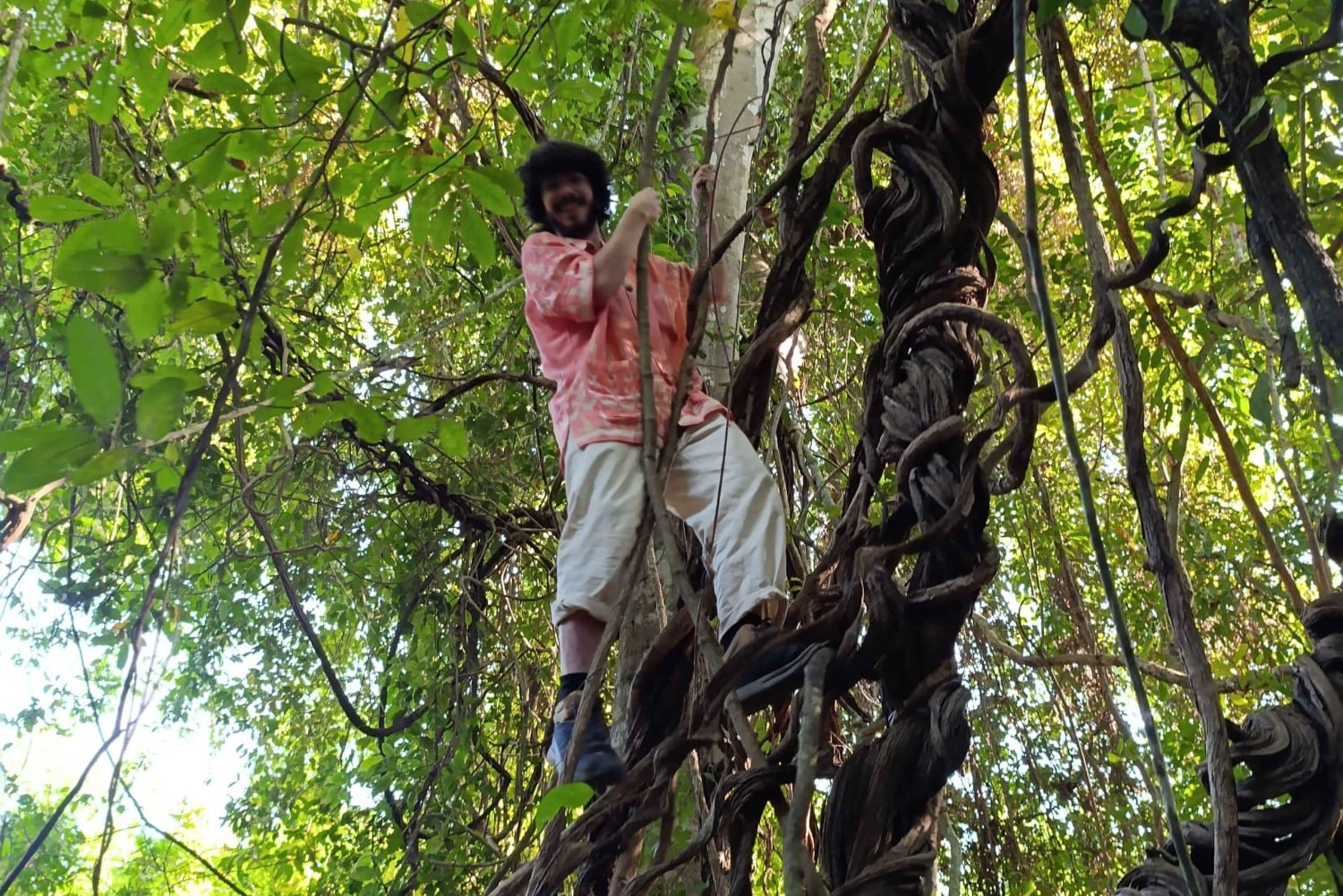 Bali: begeleide wandeltocht door het regenwoud in West-Bali