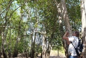 Bali: begeleide wandeltocht door het regenwoud in West-Bali