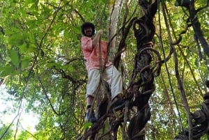 Bali: begeleide wandeltocht door het regenwoud in West-Bali