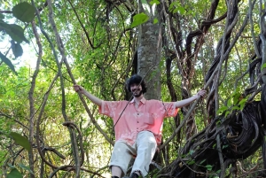 Bali: begeleide wandeltocht door het regenwoud in West-Bali